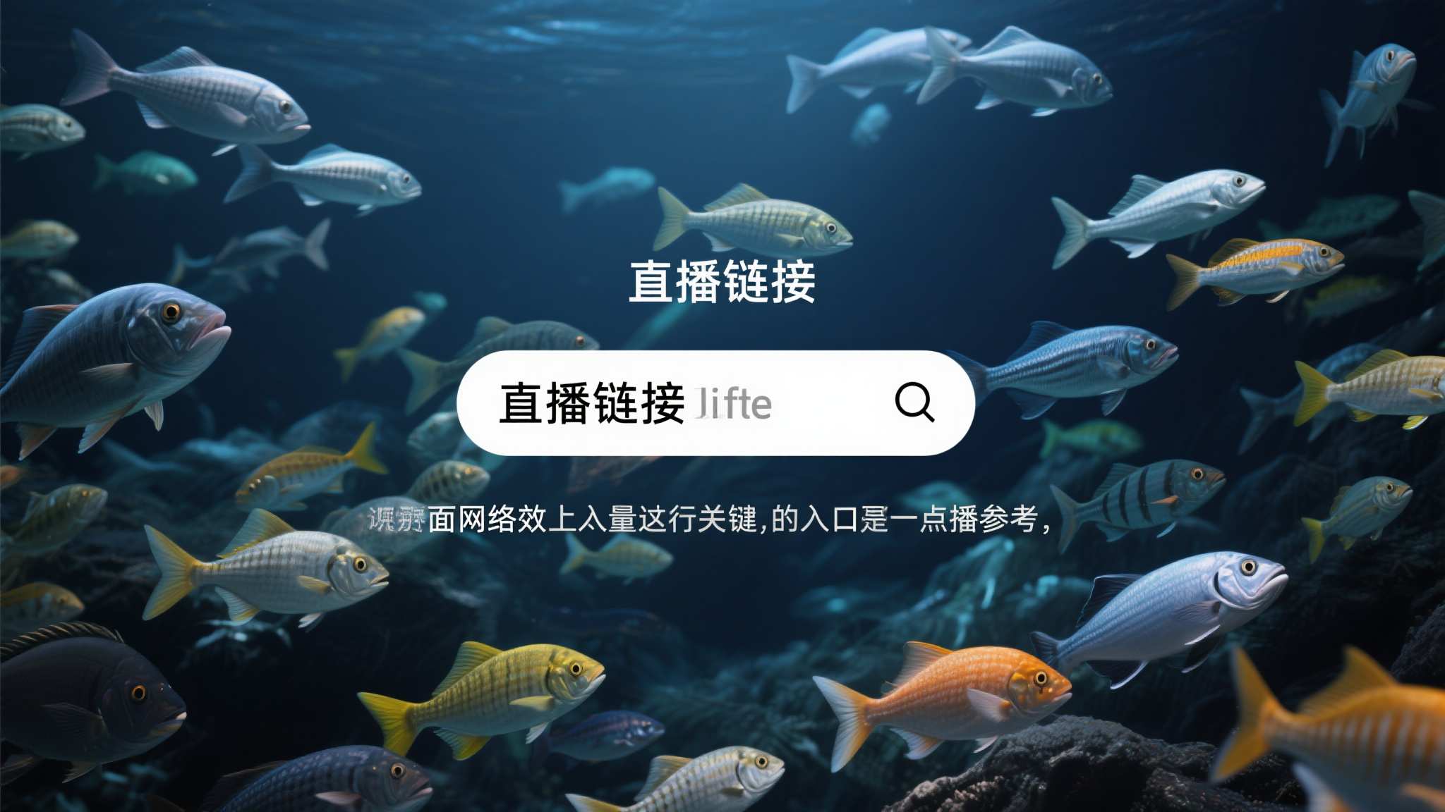 世界杯滚球平台